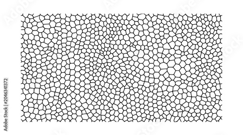 Fotografie Abstract Geometric Pattern: Hexagonal Cells, Organic Network, Cellular Structure