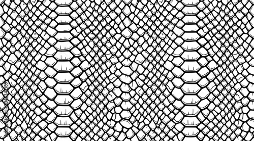 Photos Black and white snake skin pattern, reptile scales texture, seamless background