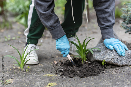 Fotografie Person planting green seedling in garden wearing blue gloves