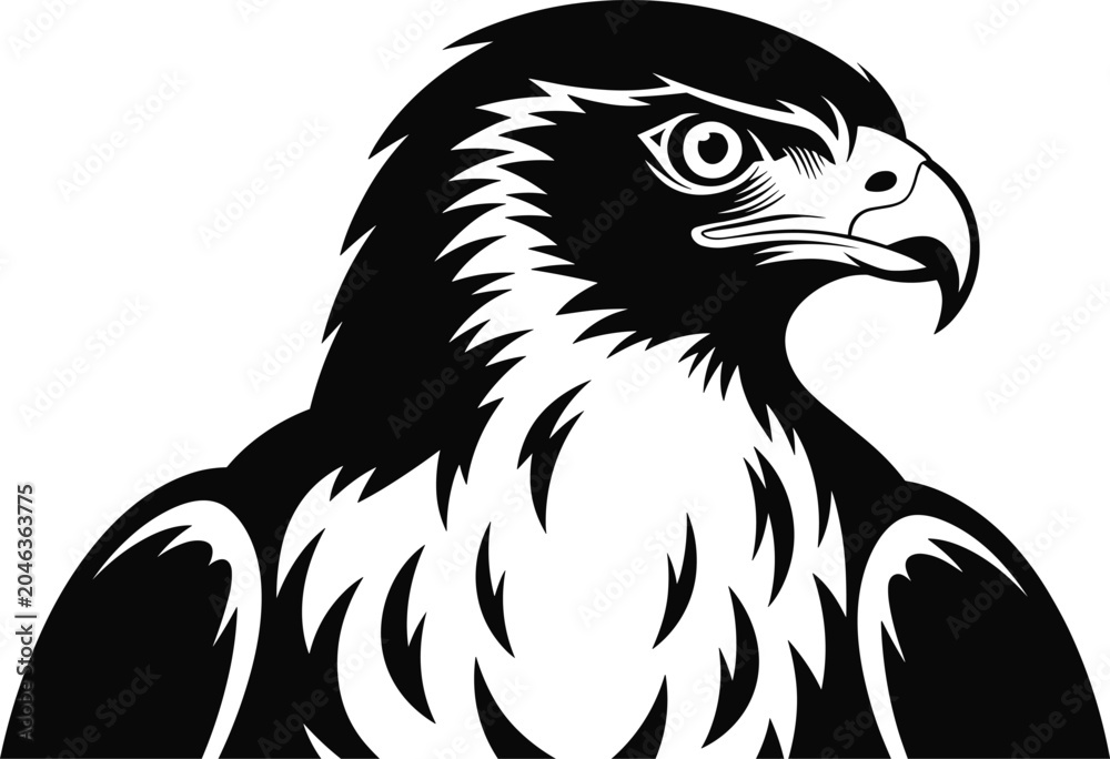 Fototapeta premium Falcon bird head profile black and white detailed illustration