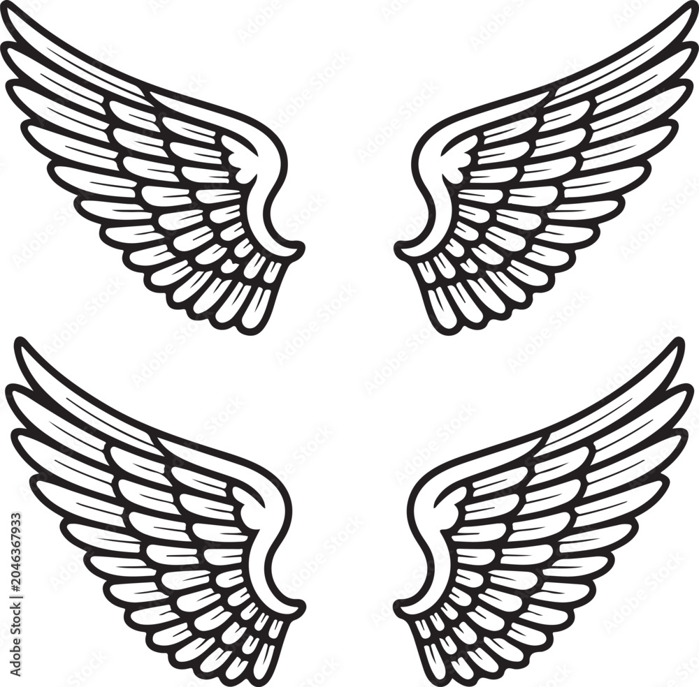 Obraz premium Four detailed black and white wing featuring feather patterns and curved shapes isolated on a white background, for use