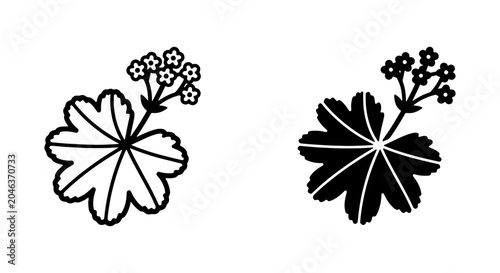 Bild auf Leinwand Alchemilla Mollis Plant Vector Icon Set, Lady's Mantle Botanical Illustration, S