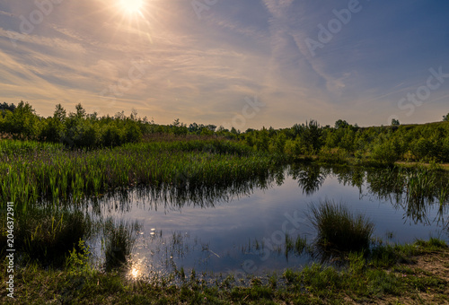 Photos Teich