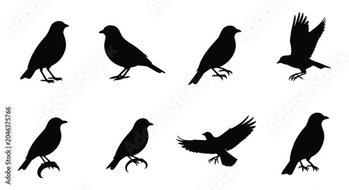 Cuadro en lienzo Bird silhouettes in various poses black and white silhouette