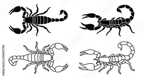 Schilderij op canvas Scorpion Line Art Illustrations Black And White Vector Graphics