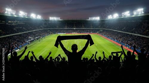 Silhouette of sports fans cheering soccer landscape background