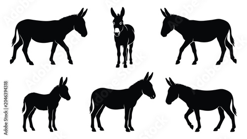Obraz na plátně Donkeys appear in various standing and walking poses as a collection of black silhouettes