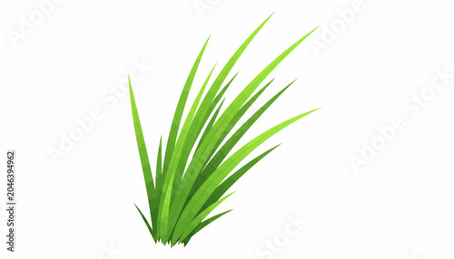 Obraz na plátně Green grass leaves, nature background, foliage element