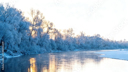 frozen river with snow covered trees