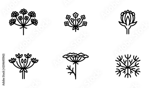 Canvas-taulu Botanical Line Art Icons: Delicate Umbel Flowers, Simple Floral Vector Graphics