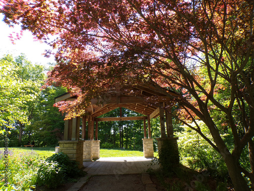 Photos Summer landscape with trees and alcove in the park