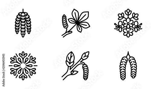 Fotografie Botanical Icons Set: Birch Catkins, Horse Chestnut Leaf, Snowflake Designs, Natu