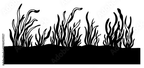 Bild auf Leinwand Seaweed and underwater plants horizontal border in minimalist stencil style