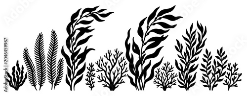 Fotografia Seaweed and kelp plants collection for underwater landscape in silhouette style