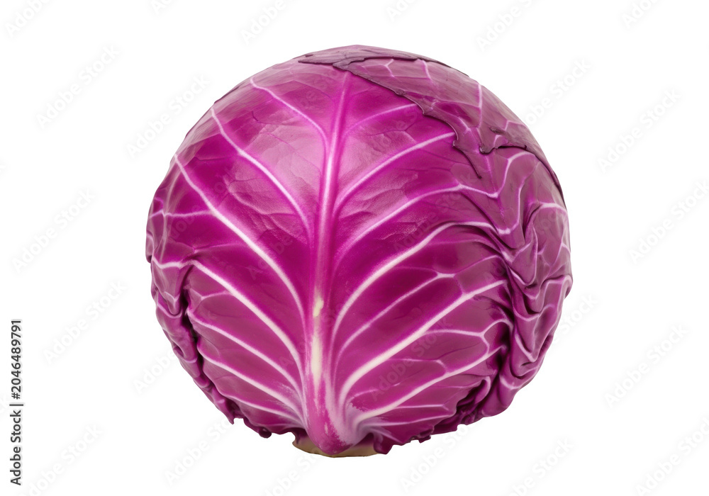 Obraz premium Fresh head of red cabbage isolated on transparent background