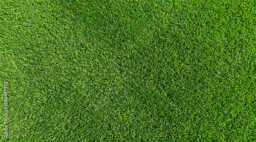 Tableau sur toile Lush green grass lawn texture background