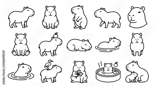 Cute capybara animal poses line art icon set