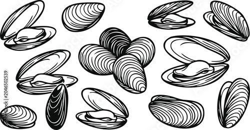 Hand drawn set of fresh mussels and clams seafood