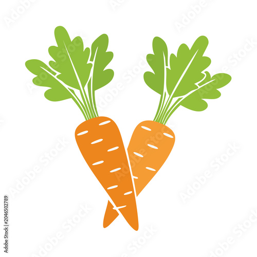 Two stylized carrots with green tops on white background