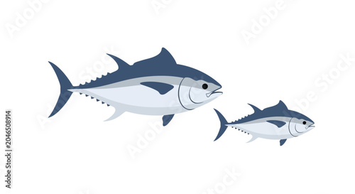 Valokuva Two Tuna Fish Swimming Side by Side on White Background, Seafood Concept