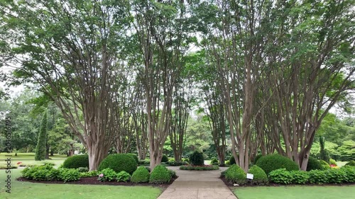 Walking through a formal garden with tall trees and manicured bushes