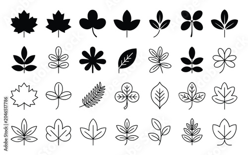 Leaf Silhouettes And Floral Outlines Black And White Vector Illustration