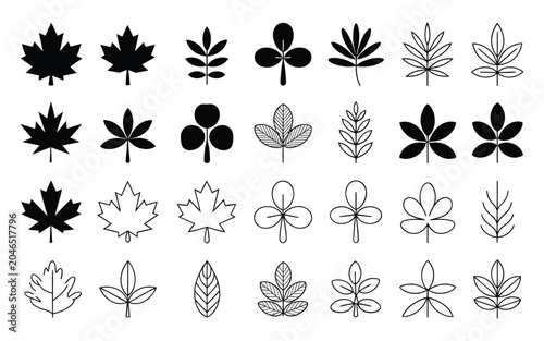 Collection Of Black And White Leaf Silhouettes Linear Vector Illustration