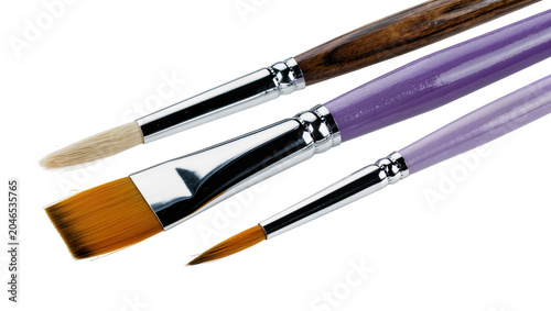 Schilderij op canvas Isolated professional artist paintbrushes set with diverse brush shapes for arti