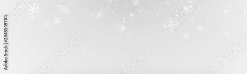Fotografi PNG