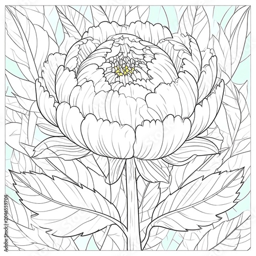Intricate botanical sketch of a blooming flower.