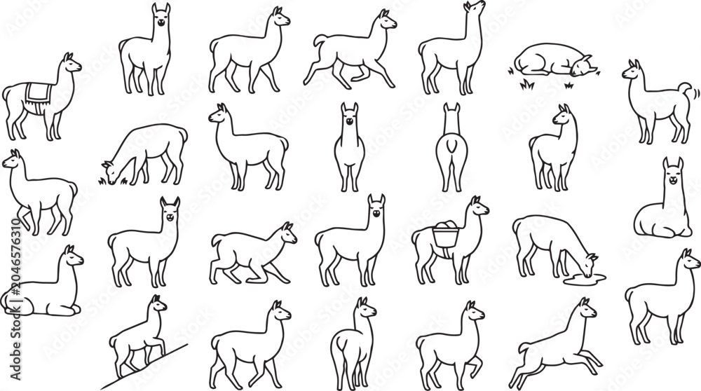 Fototapeta premium Llama Line Art Pose Set – Mountain Farm Animal Outline Vector
