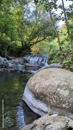 river in the forest