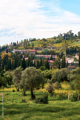 Small town nestled on gentle green hills. Peaceful rural landscape, countryside architecture, scenic village view.