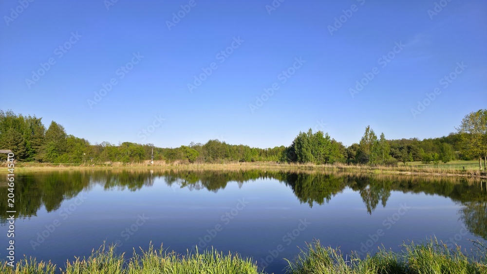 Fototapeta premium lake in the forest