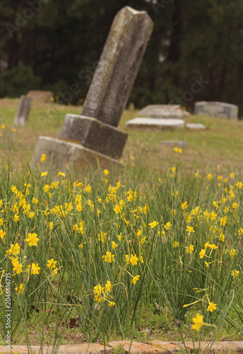 Historic Cemetery in Rural East TX.