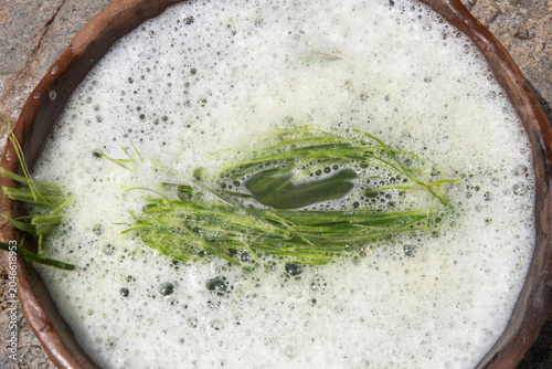Saponin-rich yucca leaf suds in bowl of water