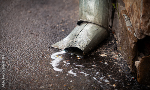 Photography Gutter downspout draining water with foam on asphalt