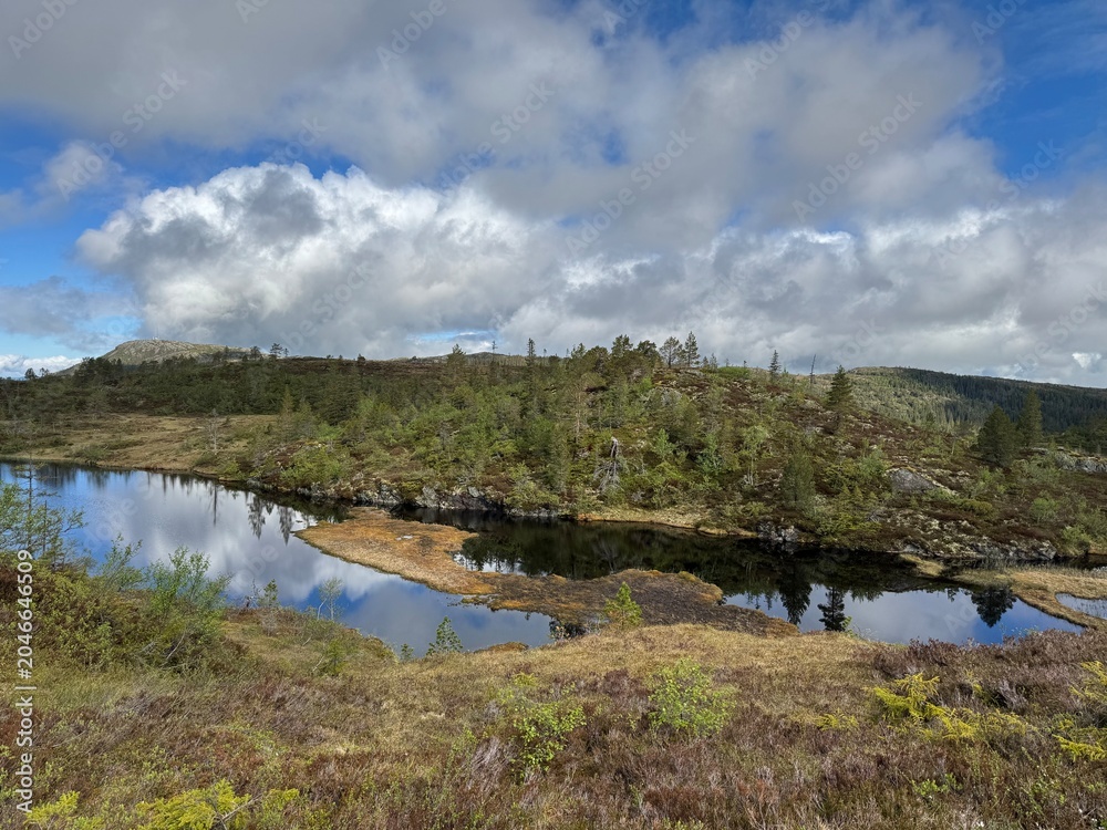 Obraz premium lake in the forest