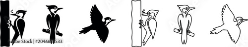A collection of woodpecker illustrations in black silhouette vector style, perfect for nature-themed designs and logos