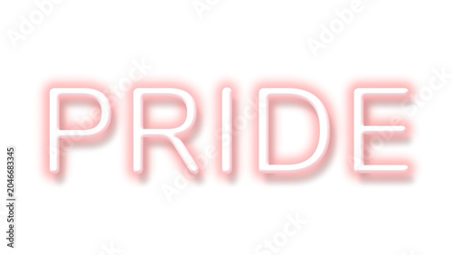 Schilderij op canvas Pink neon word PRIDE typography design element