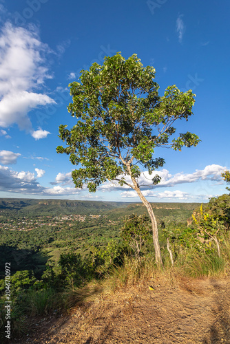 Photos paisagem natural no distrito de Taquaruçu, cidade de Palmas, Estado de Tocantins