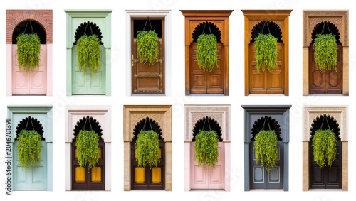 Foto Isolated collection of diverse doors with decorative archways and lush hanging g