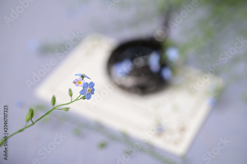 Soft focus macro of forget me not flower with blurred vintage watch background