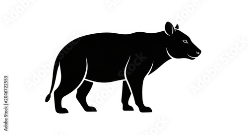 Canvas Print silhouette of a horse