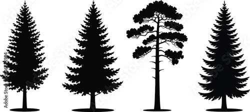 Foto tree row of four silhouettes including conifer and broadleaf