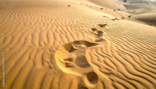Footprints trail in wavy sand dunes under warm sunlight, representing journey and exploration