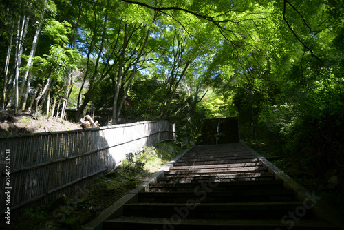新緑の金蔵寺　参道の石段　京都市西京区大原野
