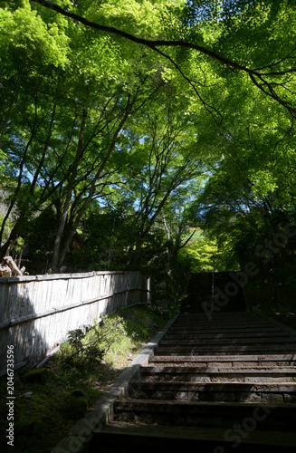 新緑の金蔵寺　参道の石段　京都市西京区大原野