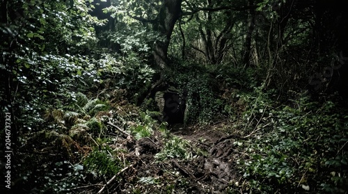 Overgrown Forest Entrance to a Mysterious Hidden Path Amidst Lush Vegetation