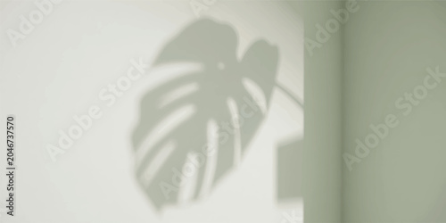 Monstera leaf shadow on a light green wall with monstera minimalist aesthetic botanical background interior sunlight tropical abstract silhouette casement lighting wellness lifestyle